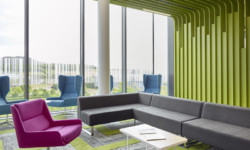 Domestic & Specialist Commissions