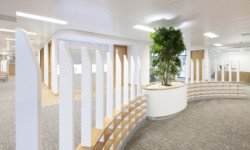 specialist cabinet makers